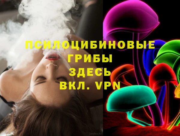 спайс Белокуриха