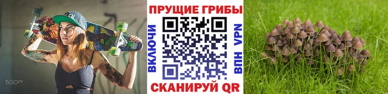 KRAKEN зеркало  Сегежа  Галлюциногенные грибы мухоморы  где можно купить наркотик 